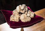 Dubai set to break world record for most expensive truffle